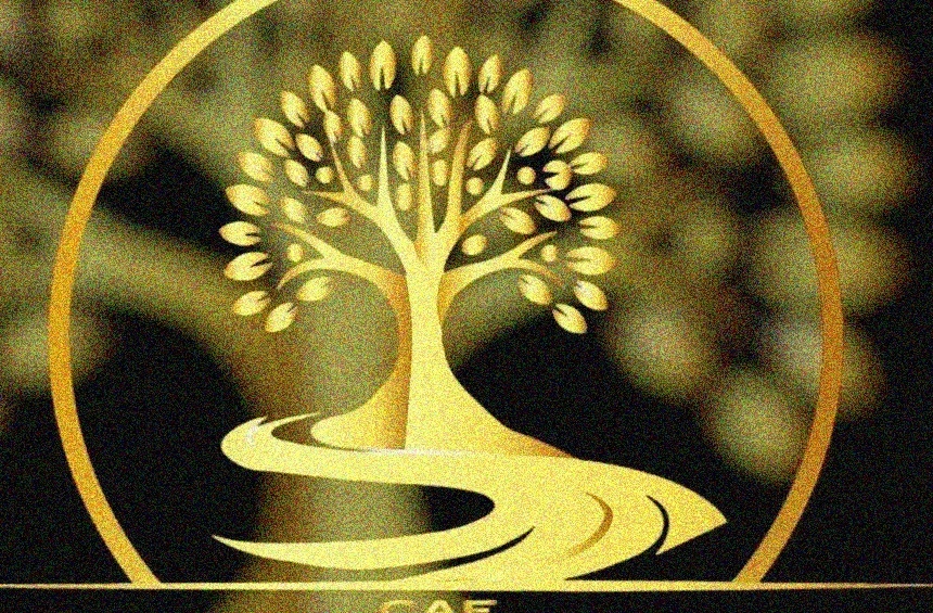 Wellness business coaching environment
